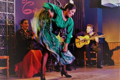 Skip the Line: Flamenco Show with Dinner and Workshop in Madrid T