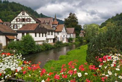 Black Forest and Rhine Falls Day Trip from Zurich Black Forest and Rhine Falls Day Trip from Zurich