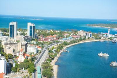 6-Hour Dar es Salaam Private Guided Cultural Tour with Lunch