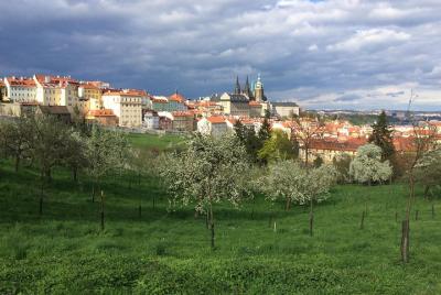 City tour to the top 10 sights in Prague