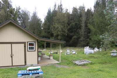 Private 2-Hour Beekeeping Classroom Tour in Honokaa Private 2-Hour Beekeeping Classroom Tour in Honokaa