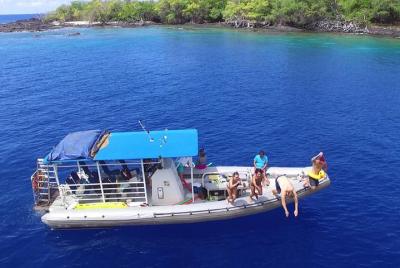 CAPTAIN COOK SNORKELING CRUISES 11:45am SNORKEL & DOLPHIN TOUR - Kealakekua Bay CAPTAIN COOK SNORKELING CRUISES 11:45am SNORKEL & DOLPHIN TOUR - Kealakekua Bay