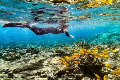 Kona Snorkel to Captain Cook Monument and Place of Refuge  Kona Snorkel to Captain Cook Monument and Place of Refuge
