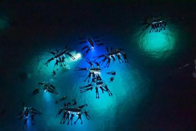Manta Ray Night Snorkel Adventure Manta Ray Night Snorkel Adventure