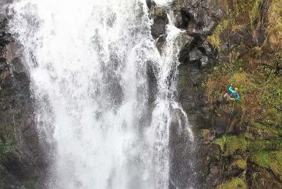 Waterfall Rappelling Adventure: 120 Foot Drop, 15 Minutes from Hilo Waterfall Rappelling Adventure: 120 Foot Drop, 15 Minutes from Hilo