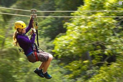 Big Island Kohala Canopy Zipline Adventure Big Island Kohala Canopy Zipline Adventure