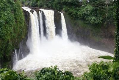 Big Island Tour : Hilo Tour with Waterfall Big Island Tour : Hilo Tour with Waterfall