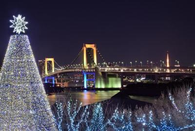 Christmas In Tokyo: Private Experience With A City Host