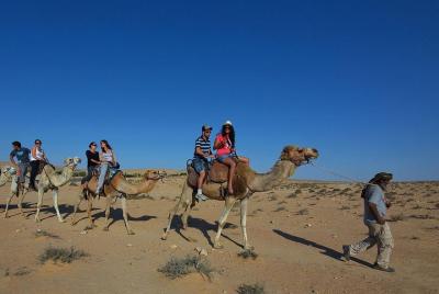 ride camel or horse ride camel or horse