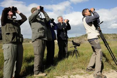 Agadir bird watching Agadir bird watching
