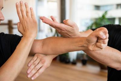 WING HO martial arts school Oliver Ulmann WING HO martial arts school Oliver Ulmann