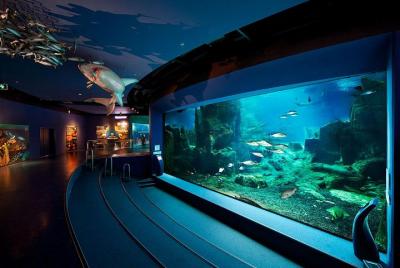 Aquarium Istanbul Admission & Lunch & Aqua Florya Shopping Aquarium Istanbul Admission & Lunch & Aqua Florya Shopping