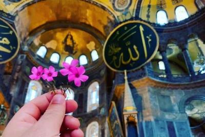 Hagia Sophia Private Tour   Hagia Sophia Private Tour