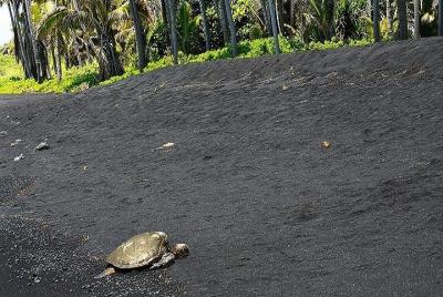 Big Island Hawaii Volcano Eco-Adventure Big Island Hawaii Volcano Eco-Adventure
