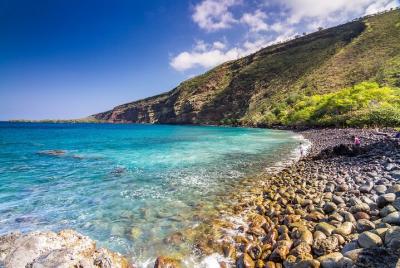 Kealakekua Bay and Captain Cook Monument Snorkel - Small-Group Ex Kealakekua Bay and Captain Cook Monument Snorkel - Small-Group Ex