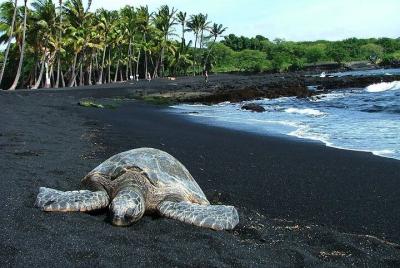 Private Island Tour in Hawaii with Pickup Included Private Island Tour in Hawaii with Pickup Included
