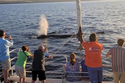 Pau Hana Sunset Cruise with the Whales Pau Hana Sunset Cruise with the Whales