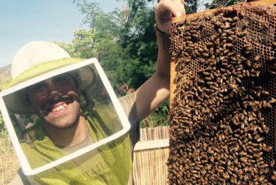 Experience Our Honey Farm And Beekeeping Tour Experience Our Honey Farm And Beekeeping Tour