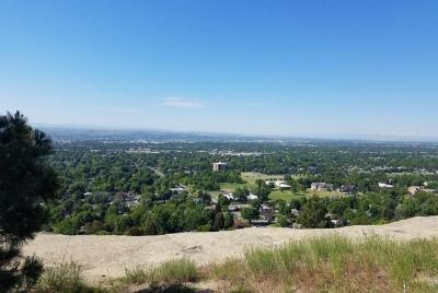 Billings Scavenger Hunt: Bountiful Billings Billings Scavenger Hunt: Bountiful Billings