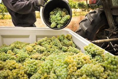 Adelaide Hills Wineries & Hahndorf Adelaide Hills Wineries & Hahndorf