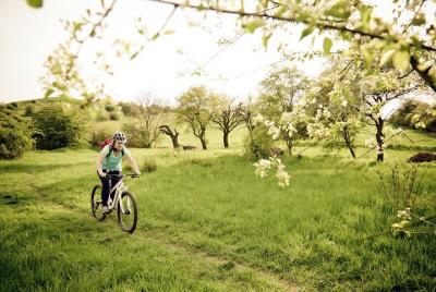 Private Easy Biking Tour of Prague Parks
