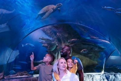 SEA LIFE Aquarium Minnesota Admission Ticket at Mall of America