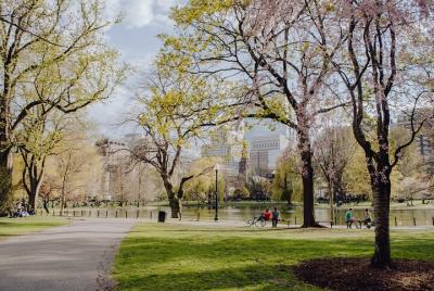 Boston City Center Private Exploration Game Boston City Center Private Exploration Game