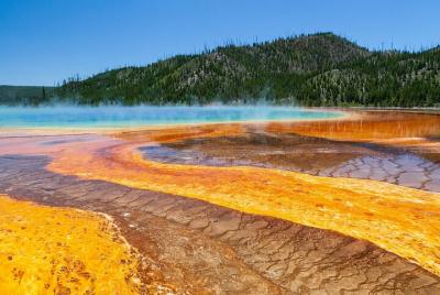 Best of Yellowstone Full-Day Private Guided Tour from Bozeman Best of Yellowstone Full-Day Private Guided Tour from Bozeman