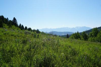Hike to Chimney Rock with an Enthusiastic Tour Guide 