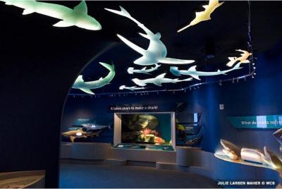 New York Aquarium Admission Tickets New York Aquarium Admission Tickets