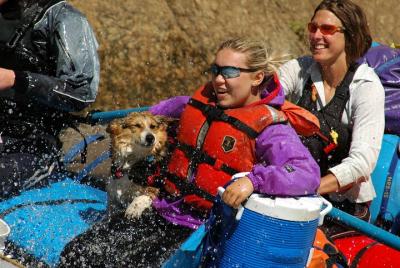 Half-Day Arkansas River - Royal Gorge Rafting Trip