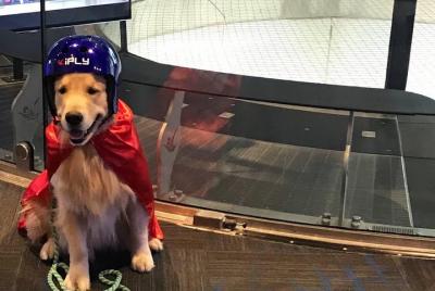 Oceanside Indoor Skydiving Experience with 2 Flights & Personaliz