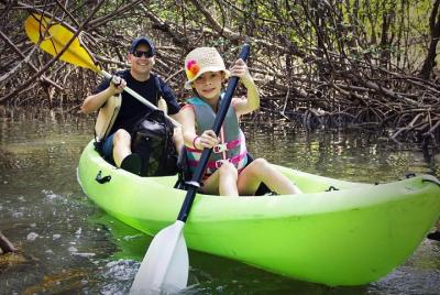 Fully Guided Kayaking Backwater Manatee and Dolphin Tour
