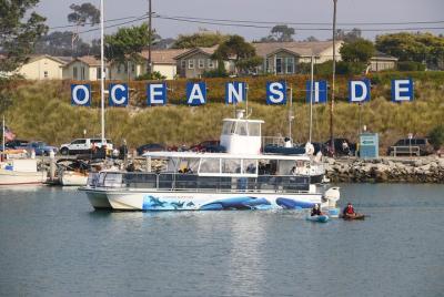 Shared Two-Hour Whale Watching Tours from Oceanside, CA