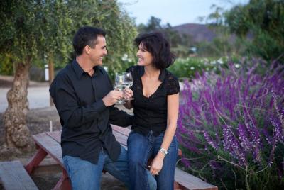 Temecula Private Wine Tour from Carlsbad