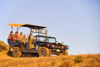Catalina Island Ridgetop Eco Adventure Catalina Island Ridgetop Eco Adventure