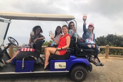 Private Guided Golf Cart Tour of Avalon