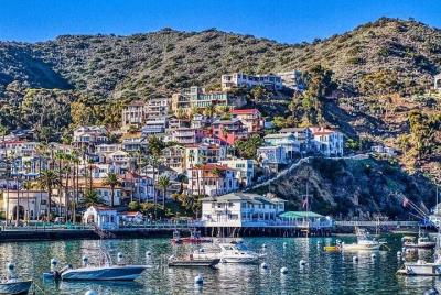 Discover Avalon: Catalina Scenic Tour Discover Avalon: Catalina Scenic Tour