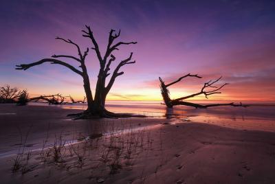Charleston Photography Tours - Half Day Expedition Charleston Photography Tours - Half Day Expedition