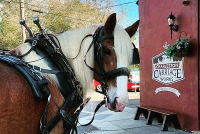 Charleston Charleston's Historic Residential Horse and Carriage Tour