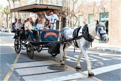 Evening Horse-Drawn Carriage Tour of Downtown Charleston Evening Horse-Drawn Carriage Tour of Downtown Charleston