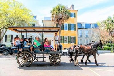 Daytime Horse-Drawn Carriage Sightseeing Tour of Historic Charles Daytime Horse-Drawn Carriage Sightseeing Tour of Historic Charles