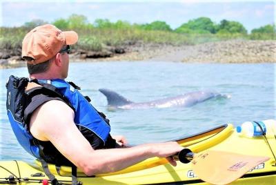 2-Hour Guided Kayak Eco Tour in Charleston 2-Hour Guided Kayak Eco Tour in Charleston