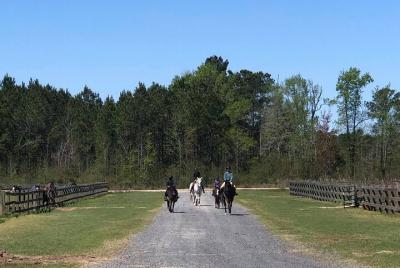 Small-Group Poplar Grove Plantation Horseback Ride in Ravenel Small-Group Poplar Grove Plantation Horseback Ride in Ravenel