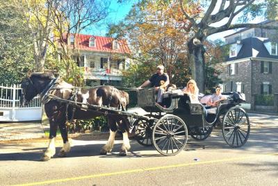 Private Historic Carriage Tour of Charleston Private Historic Carriage Tour of Charleston