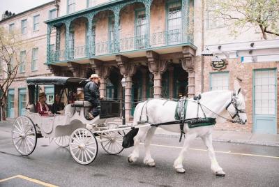 Private Daytime or Evening Horse-Drawn Carriage Tour of Historic Charleston Private Daytime or Evening Horse-Drawn Carriage Tour of Historic Charleston