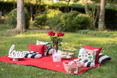 Private Picnic Experience in the Queen City Private Picnic Experience in the Queen City