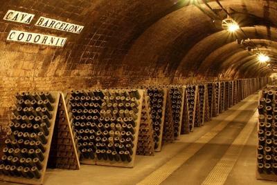 Wine Tour Experience in Barcelona