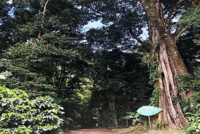 CuriCancha Monteverde Reserve Admission Ticket CuriCancha Monteverde Reserve Admission Ticket