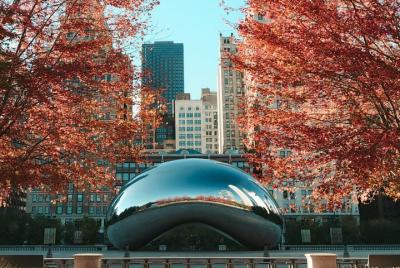 Private Airport Transfer: O’Hare International Airport (ORD) to Chicago